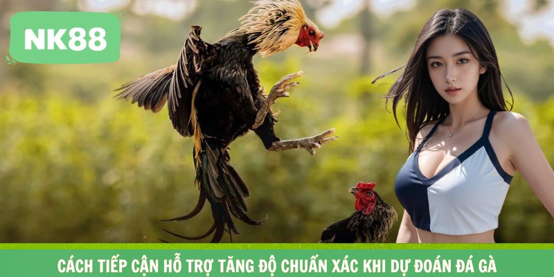 Cách tiếp cận hỗ trợ tăng độ chuẩn xác khi dự đoán đá gà